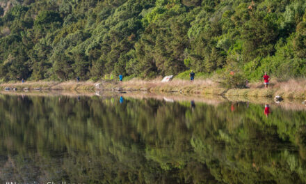 Navarino Challenge: Το κορυφαίο wellness event επιστρέφει στην Μεσσηνία & την Costa Navarino