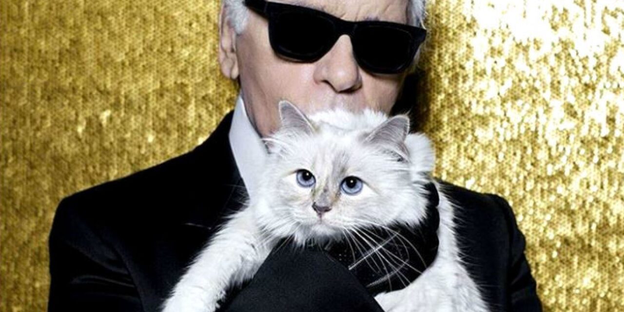 Choupette: Η γάτα κληρονόμος που ζει στην χλιδή (photos)