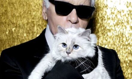 Choupette: Η γάτα κληρονόμος που ζει στην χλιδή (photos)