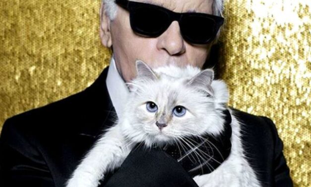 Choupette: Η γάτα κληρονόμος που ζει στην χλιδή (photos)