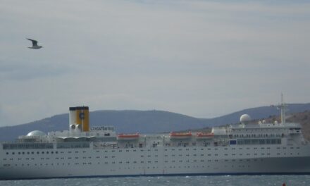 Νέα Ζηλανδία: Απίστευτη οφθαλμαπάτη με αιωρούμενα κρουαζιερόπλοια σε παραλία (video)