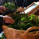 Κυριακή των Βαΐων: Ταξιδεύοντας στην Ελλάδα μέσα από ήθη και έθιμα