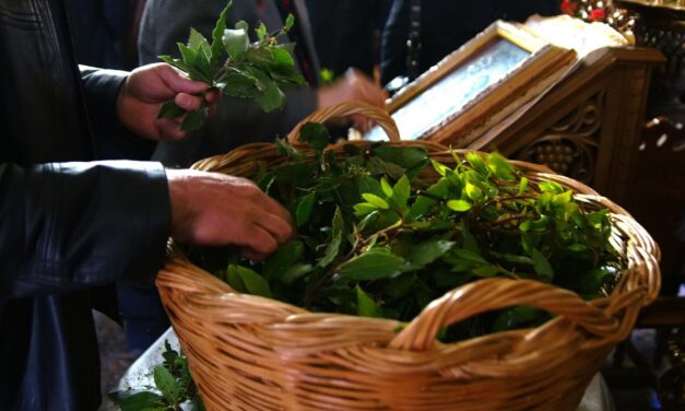 Κυριακή των Βαΐων: Ταξιδεύοντας στην Ελλάδα μέσα από ήθη και έθιμα