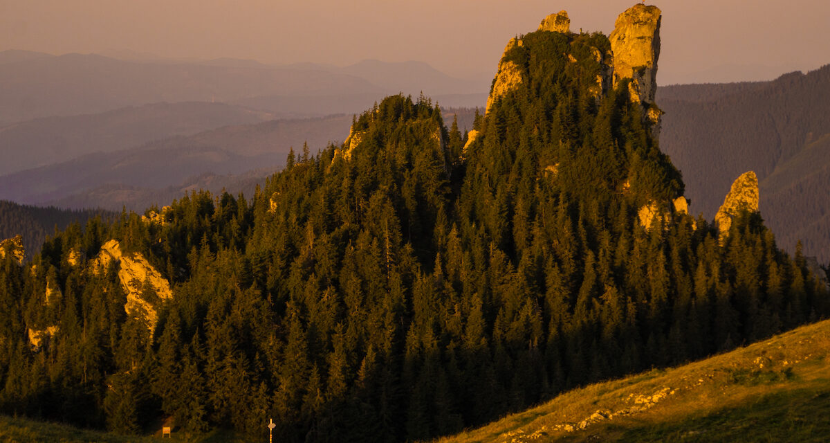 Ταξιδεύουμε στα Καρπάθια με ένα κλικ – Δωρεάν διαδικτυακές «εξορμήσεις» στη φύση