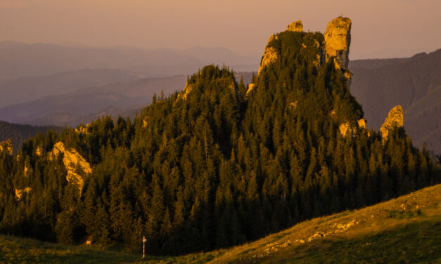 Ταξιδεύουμε στα Καρπάθια με ένα κλικ – Δωρεάν διαδικτυακές «εξορμήσεις» στη φύση