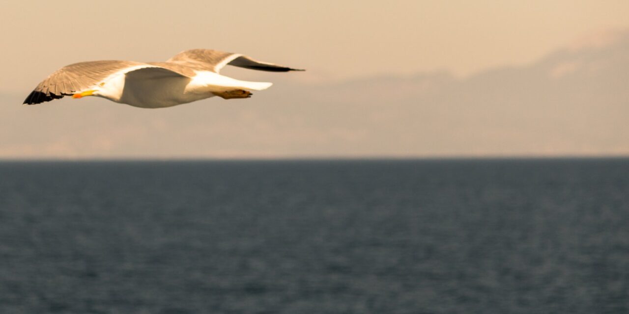 Το ελληνικό καλοκαίρι μέσα από 25 υπέροχες φωτογραφίες