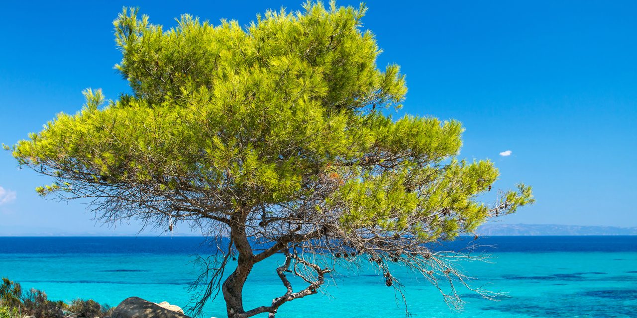 5+1 μέρη που πρέπει να επισκεφθείς στην πανέμορφη Χαλκιδική