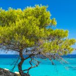 5+1 μέρη που πρέπει να επισκεφθείς στην πανέμορφη Χαλκιδική