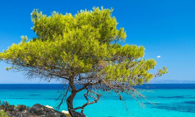 5+1 μέρη που πρέπει να επισκεφθείς στην πανέμορφη Χαλκιδική