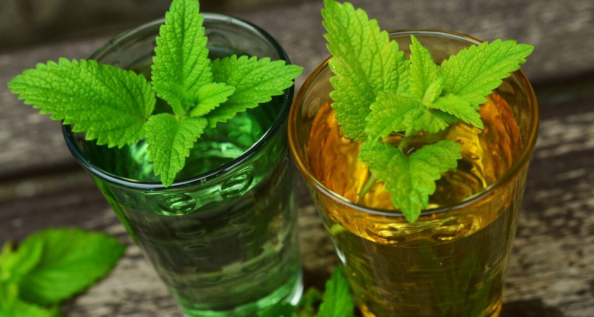 7 μαγαζιά με υπέροχους κήπους για καλοκαιρινές εξόδους στην Αθήνα