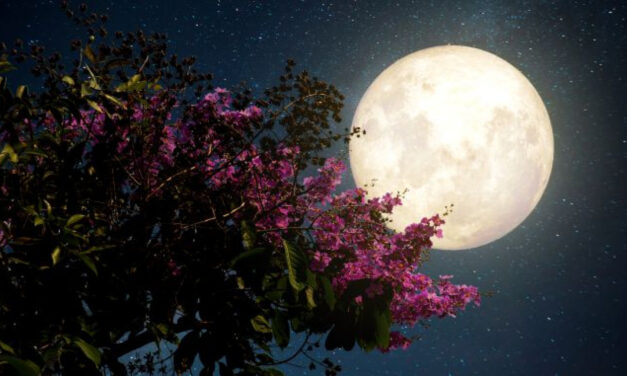 Πανσέληνος Σεπτεμβρίου: Απόψε το «φεγγάρι του καλαμποκιού» – Γιατί ονομάστηκε έτσι