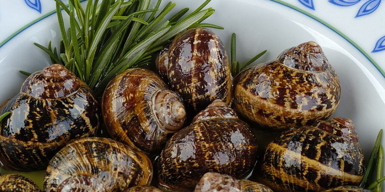 “Ο Κρητικός”: Αυθεντικές γεύσεις Κρήτης στο Κερατσίνι