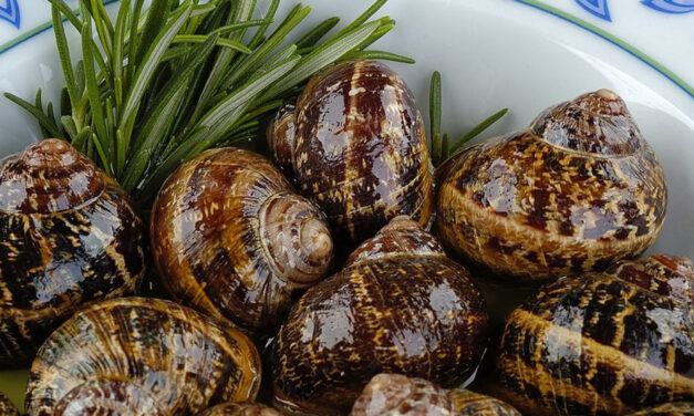 “Ο Κρητικός”: Αυθεντικές γεύσεις Κρήτης στο Κερατσίνι