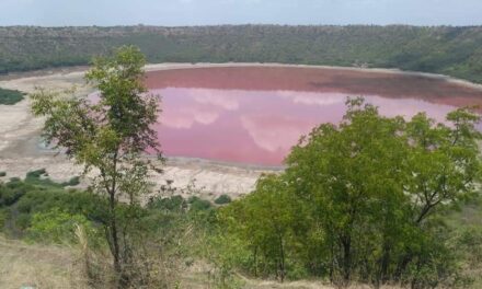 Ινδία: Απόκοσμο θέαμα σε λίμνη – Δείτε τι συνέβη