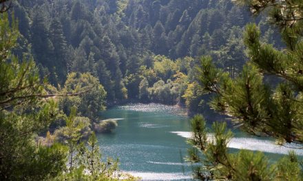 Λίμνη Τσιβλού: Πάμε για μπάνιο… στο βουνό!