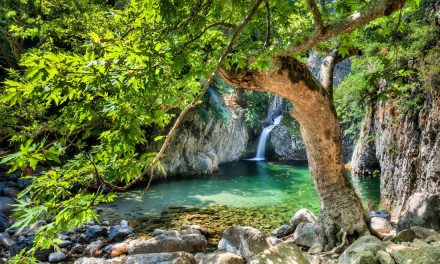 Καλοκαίρι στη Σαμοθράκη: Οι διακοπές… αλλιώς