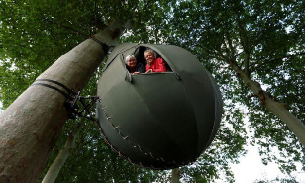 Βέλγιο: Εναλλακτικές διακοπές σε σκηνές που κρέμονται από… δέντρα