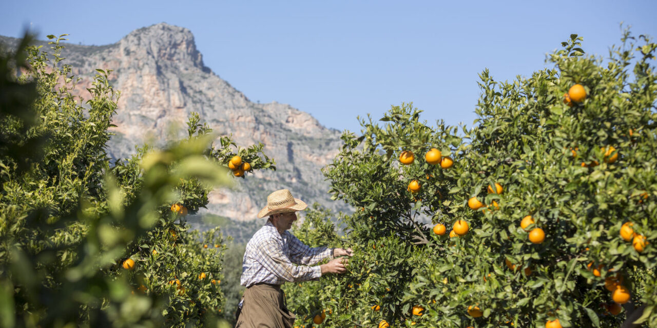 Επιστροφή στη φύση: 5 καταλύματα ιδανικά για φυσιολάτρες