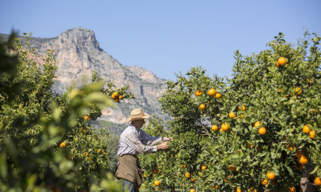 Επιστροφή στη φύση: 5 καταλύματα ιδανικά για φυσιολάτρες