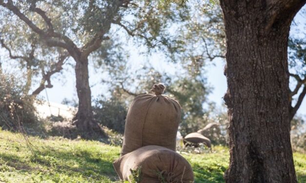 Διαγωνισμός 1,67 εκατ. για την ανάπτυξη του αγροτουρισμού και του γαστρονομικού τουρισμού