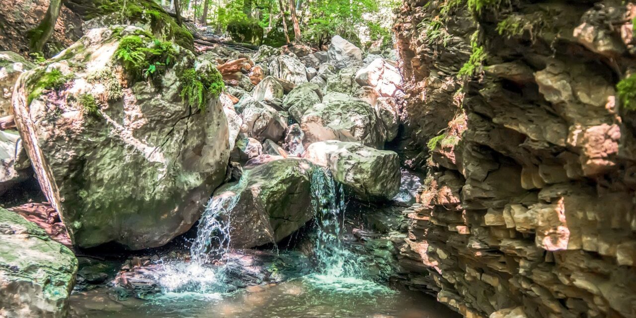 «Δεν έχουμε πού να βάλουμε τον κόσμο»: Ποια περιοχή της Ελλάδας σημειώνει κρατήσεις-ρεκόρ;