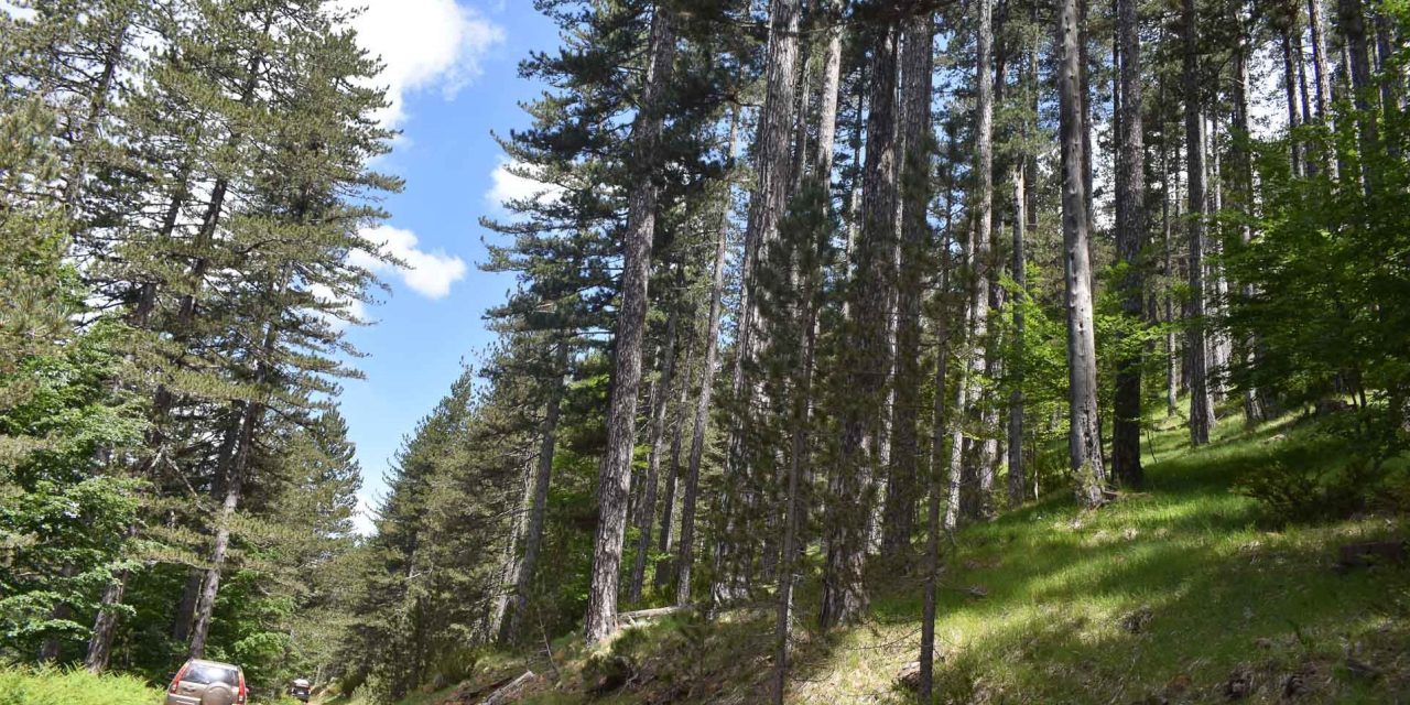 Καλοκαίρι στο βουνό και φύγαμε για… Βάλια Κάλντα