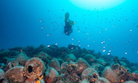Έρχεται το πρώτο υποβρύχιο μουσείο στην Ελλάδα – Ξενάγηση με… βατραχοπέδιλα