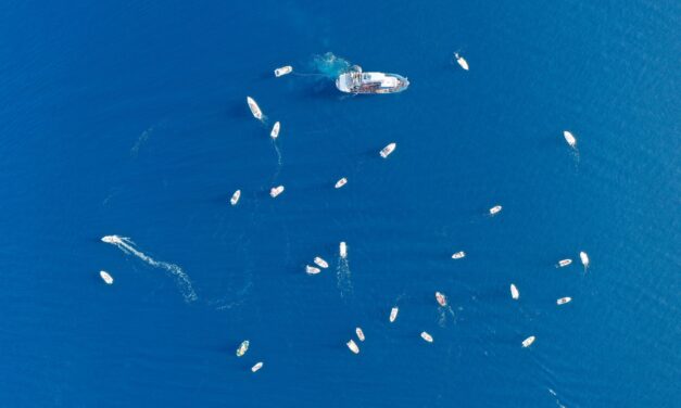 Ο Αυθεντικός Μαραθώνιος Κολύμβησης αναβίωσε 2.500 χρόνια μετά στο Αρτεμίσιο
