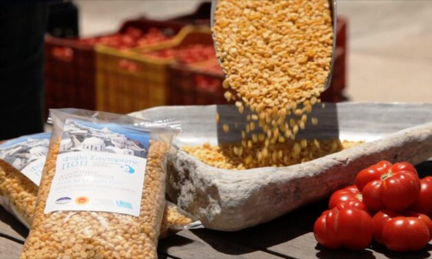 Η πιο βελούδινη φάβα κατάγεται από τη Σαντορίνη – Δείτε τη συνταγή