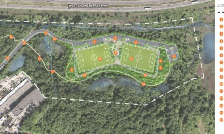 Νέα Υόρκη: Η μεγαλύτερη χωματερή στον κόσμο μετατρέπεται σε μία καταπράσινη όαση