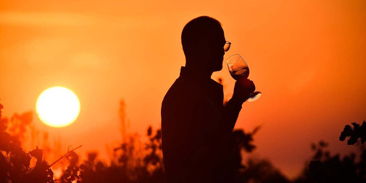 Costa Navarino: Ζήστε την εμπειρία του οινοτουρισμού με φόντο το γαλάζιο του Ιονίου