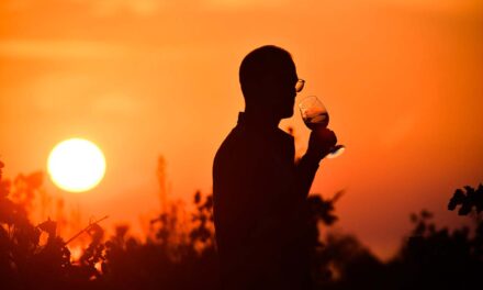 Costa Navarino: Ζήστε την εμπειρία του οινοτουρισμού με φόντο το γαλάζιο του Ιονίου