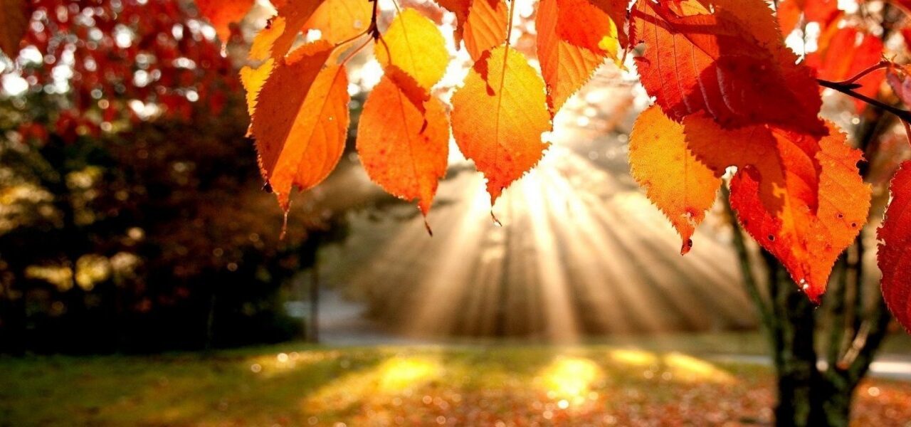 Φθινοπωρινή ισημερία: Ξεκινά και επίσημα σήμερα το φθινόπωρο