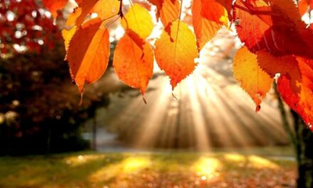 Φθινοπωρινή ισημερία: Ξεκινά και επίσημα σήμερα το φθινόπωρο