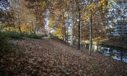 Ληθαίος: Το στολίδι των Τρικάλων