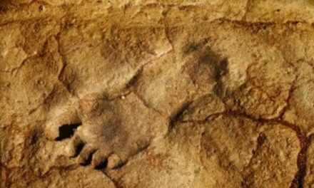 Αραβική χερσόνησος: Ανακαλύφθηκαν οι αρχαιότερες ανθρώπινες πατημασιές