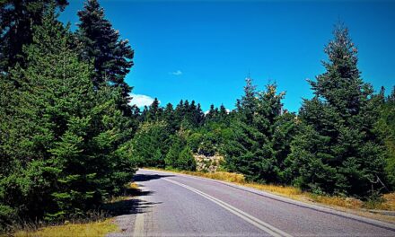 Φθινοπωρινή εξόρμηση στον Κοσμά Αρκαδίας