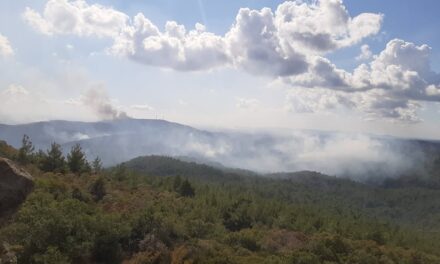 Οικολογική καταστροφή στον Έβρο: Μάχη με τις φλόγες στο δάσος της Δαδιάς