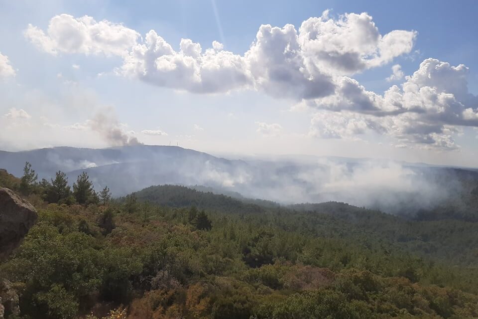 Οικολογική καταστροφή στον Έβρο: Μάχη με τις φλόγες στο δάσος της Δαδιάς