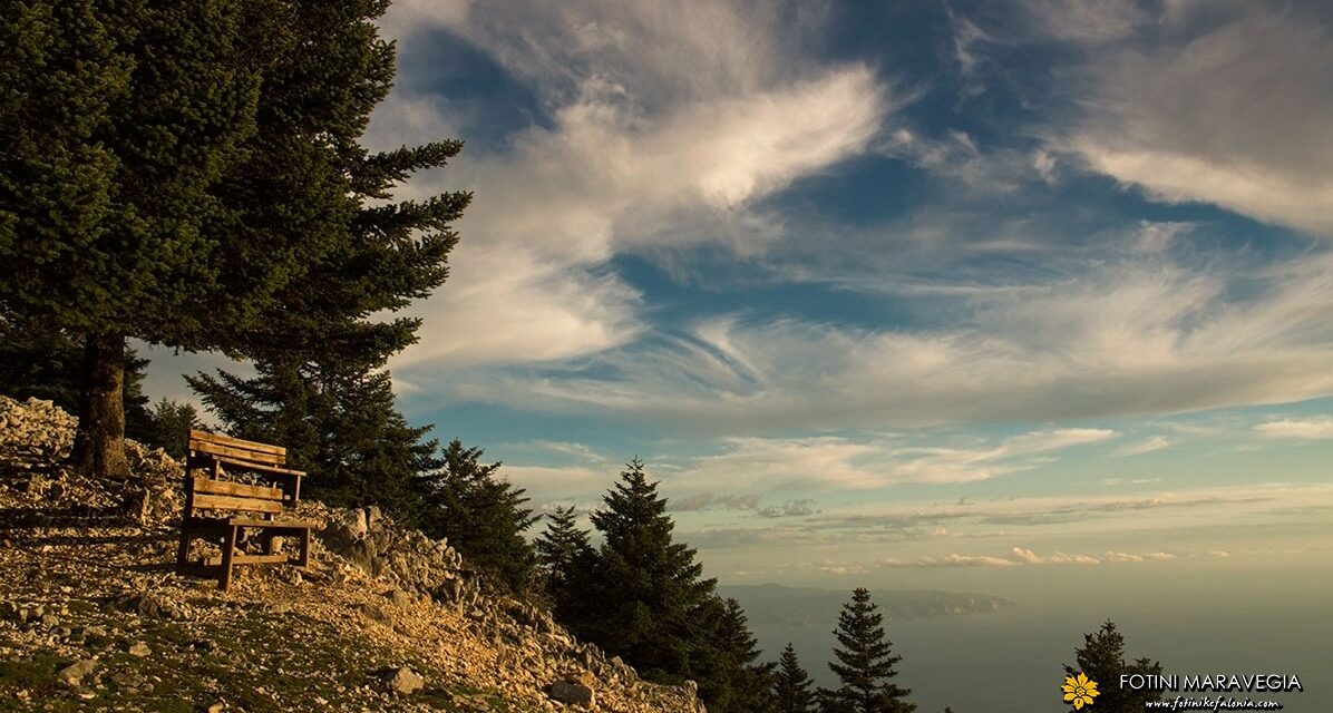 Κεφαλονιά: Εξερευνώντας τον Εθνικό Δρυμό του Αίνου