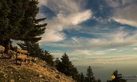 Κεφαλονιά: Εξερευνώντας τον Εθνικό Δρυμό του Αίνου