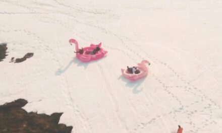 Νορβηγία: Κατέβηκαν τη χιονισμένη πλαγιά με τεράστιο φουσκωτό ροζ φλαμίνγκο