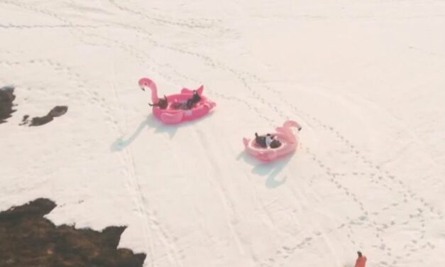 Νορβηγία: Κατέβηκαν τη χιονισμένη πλαγιά με τεράστιο φουσκωτό ροζ φλαμίνγκο