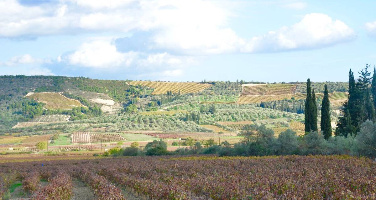 Νεμέα: Μεθυστικό ταξίδι σε έναν τόπο γεμάτο ιστορία και… αμπελώνες
