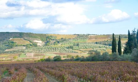 Νεμέα: Μεθυστικό ταξίδι σε έναν τόπο γεμάτο ιστορία και… αμπελώνες