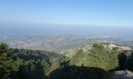 Κεφαλονιά: Βόλτα στον Εθνικό Δρυμό του Αίνου… με ένα κλικ!