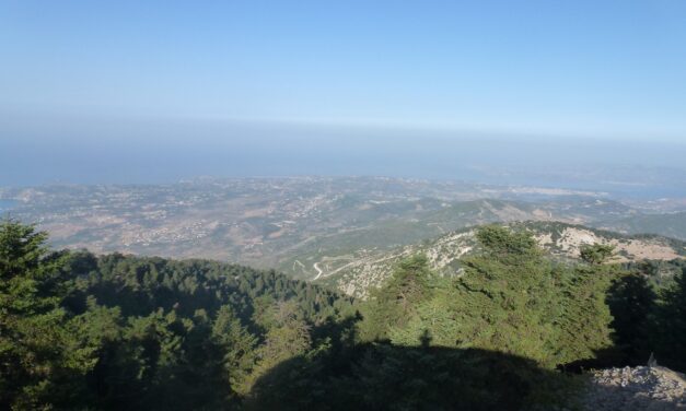 Κεφαλονιά: Βόλτα στον Εθνικό Δρυμό του Αίνου… με ένα κλικ!