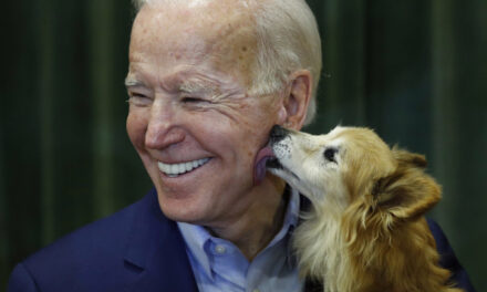 Από τον κάδο σκουπιδιών… στον Λευκό Οίκο – Το 1ο υιοθετημένο σκυλί από Πρόεδρο των ΗΠΑ