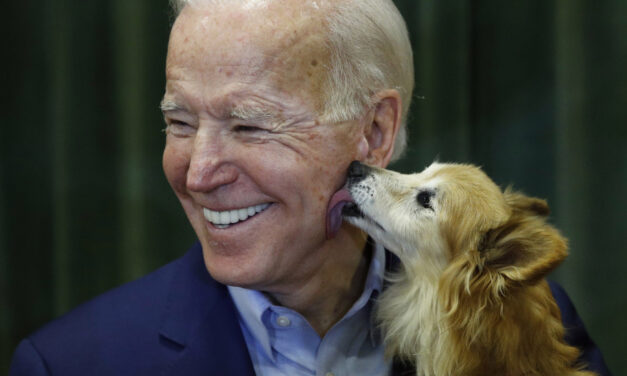 Από τον κάδο σκουπιδιών… στον Λευκό Οίκο – Το 1ο υιοθετημένο σκυλί από Πρόεδρο των ΗΠΑ