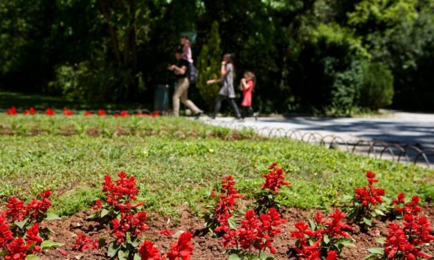 Νέα εποχή για τον Εθνικό Κήπο – Ο Δήμος Αθηναίων παραδίδει το πρώτο αναβαθμισμένο τμήμα
